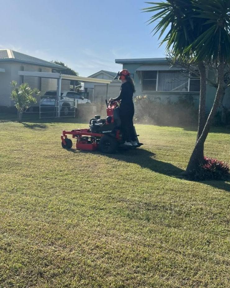 A person on a stand-on mower cutting a lawn beside a cordyline palm
