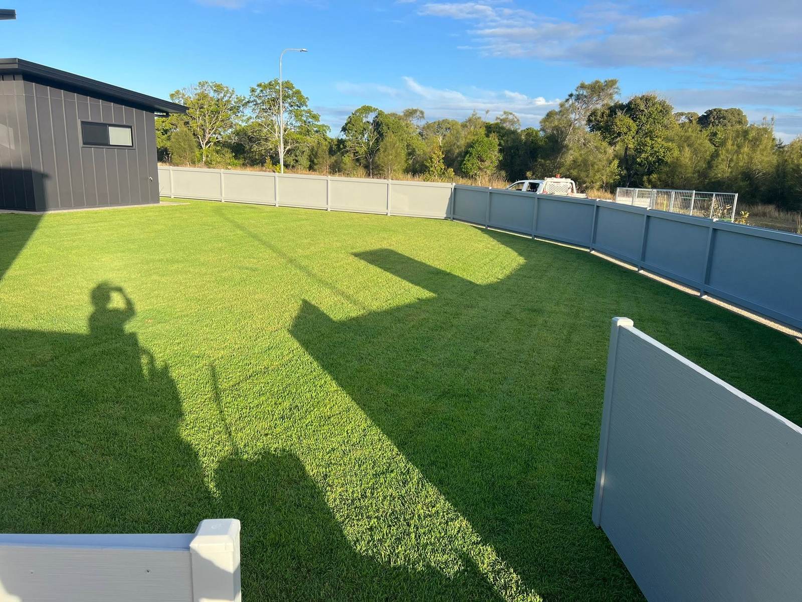 A wide mown lawn in even stripes with palms along the back fence