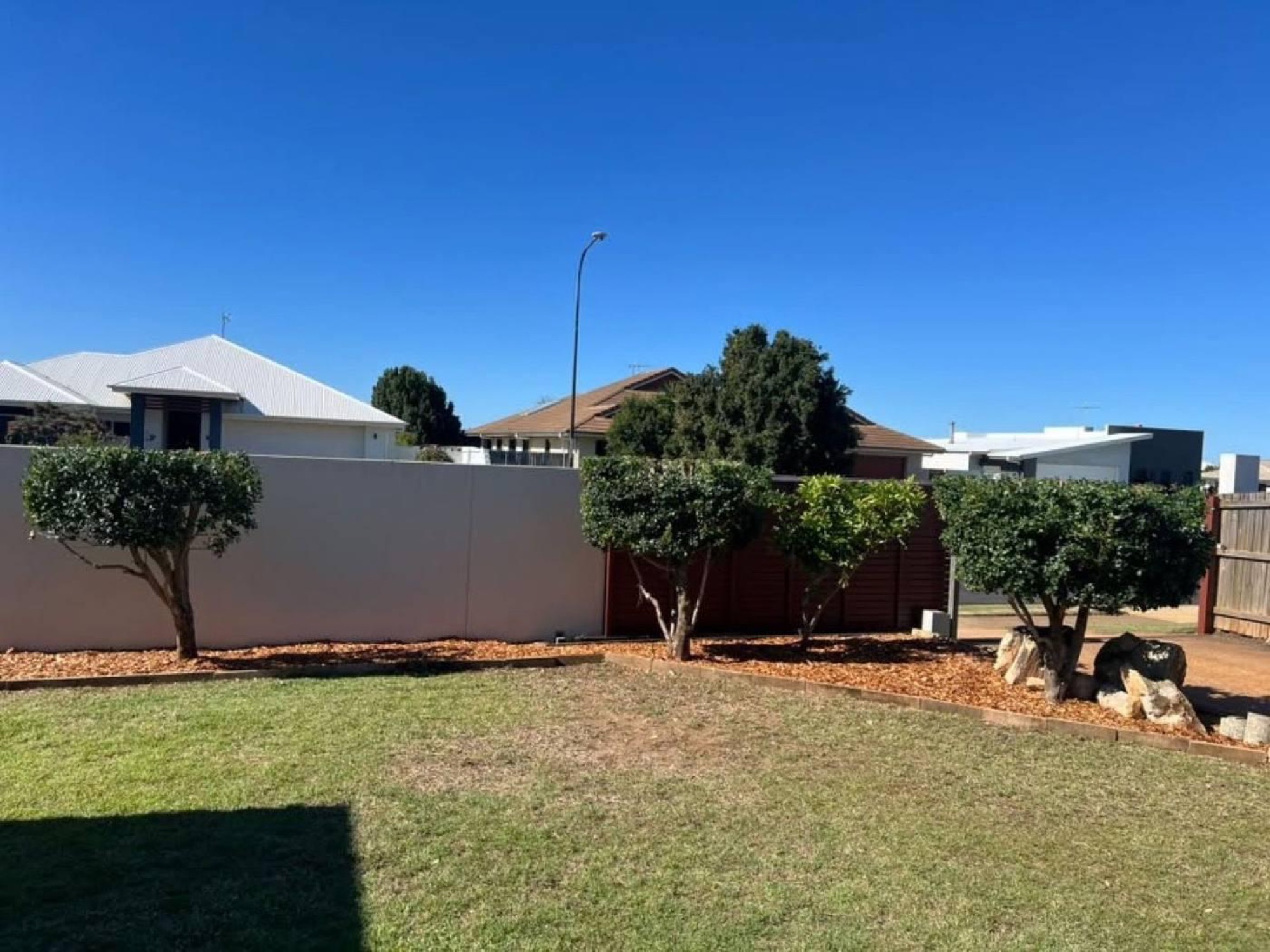 A wide mown lawn in even stripes with palms along the back fence