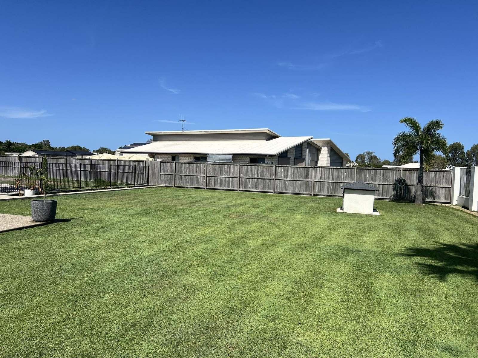 A tropical garden bed of cordylines and palms in front of a home