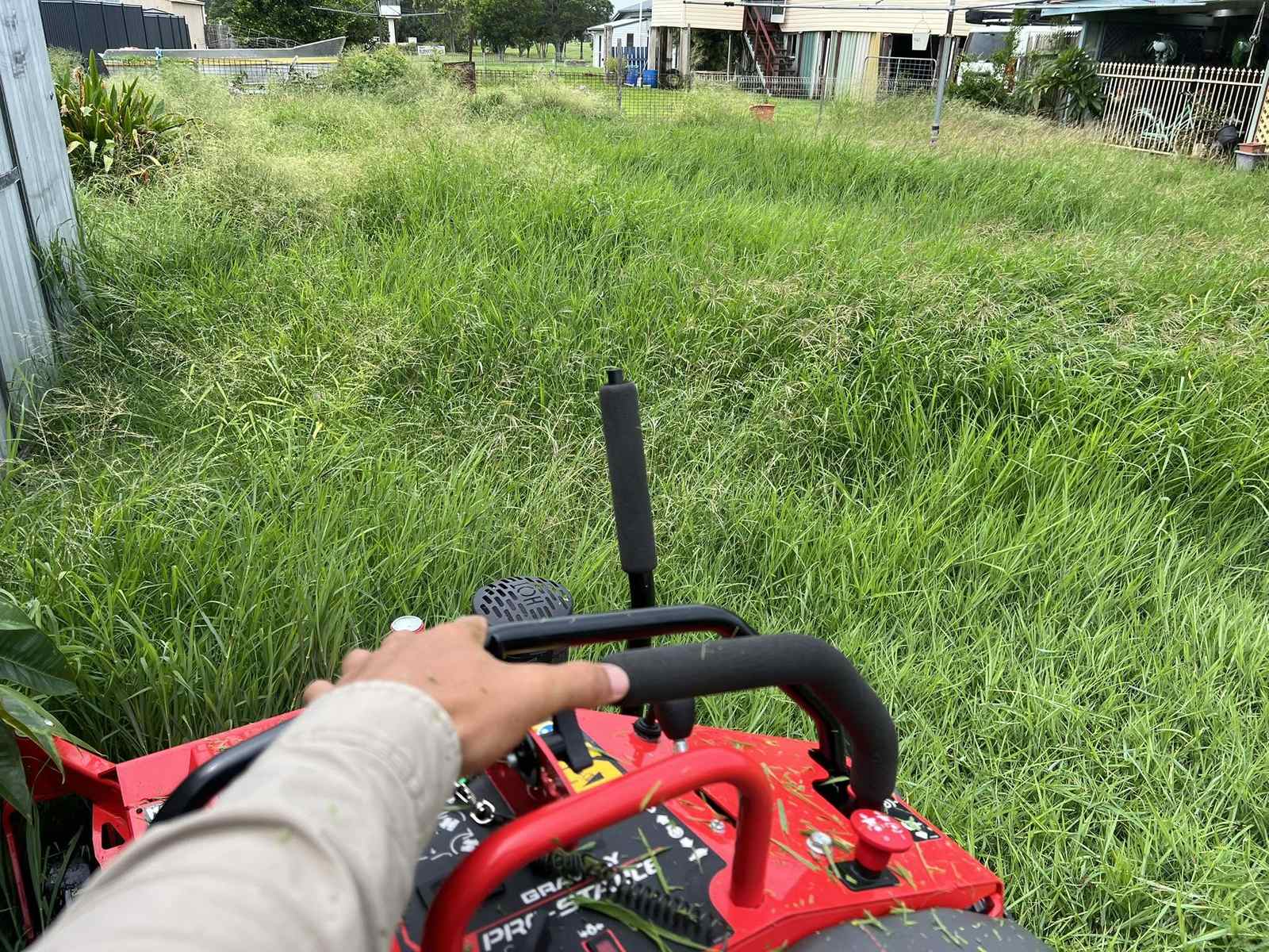 Long grass ahead of a mower being pushed through a Bundaberg region block