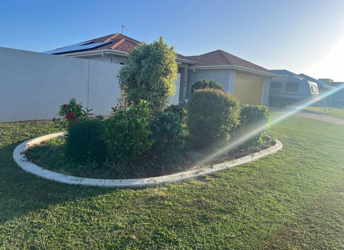 A front garden of shaped shrubs and mulched beds beside a mown lawn
