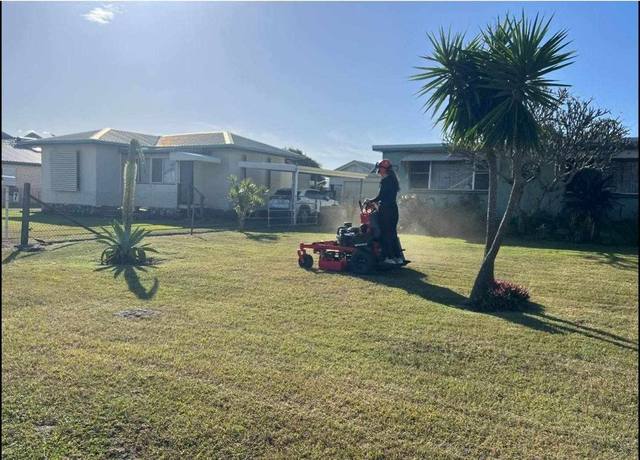 A person on a stand-on mower cutting a lawn beside a cordyline palm