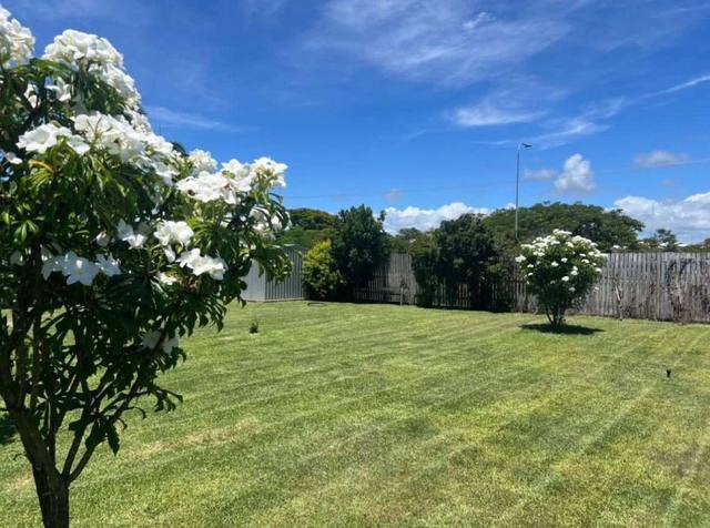 A mown lawn with a white flowering frangipani in the corner