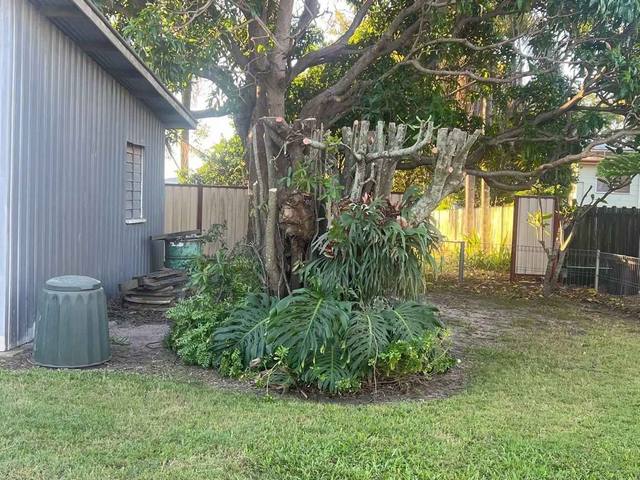 A side yard of tropical planting beside a shed