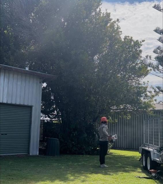 A worker with a blower clearing beside a shed