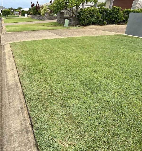 A mown lawn either side of a concrete path
