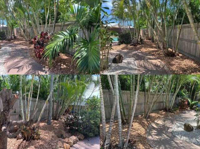 A mulched garden bed with palms and tall plants against a fence
