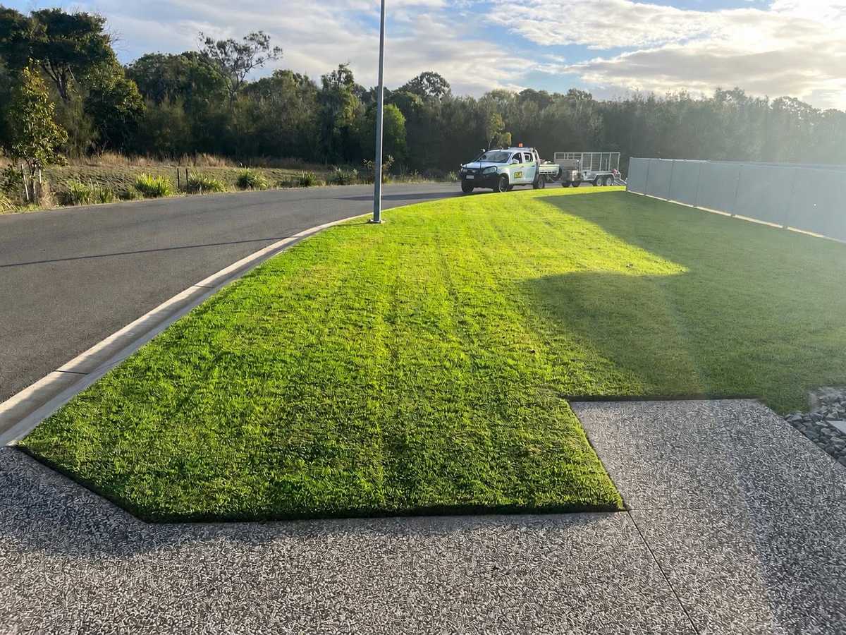 A mown strip of lawn with a cut edge along a concrete path